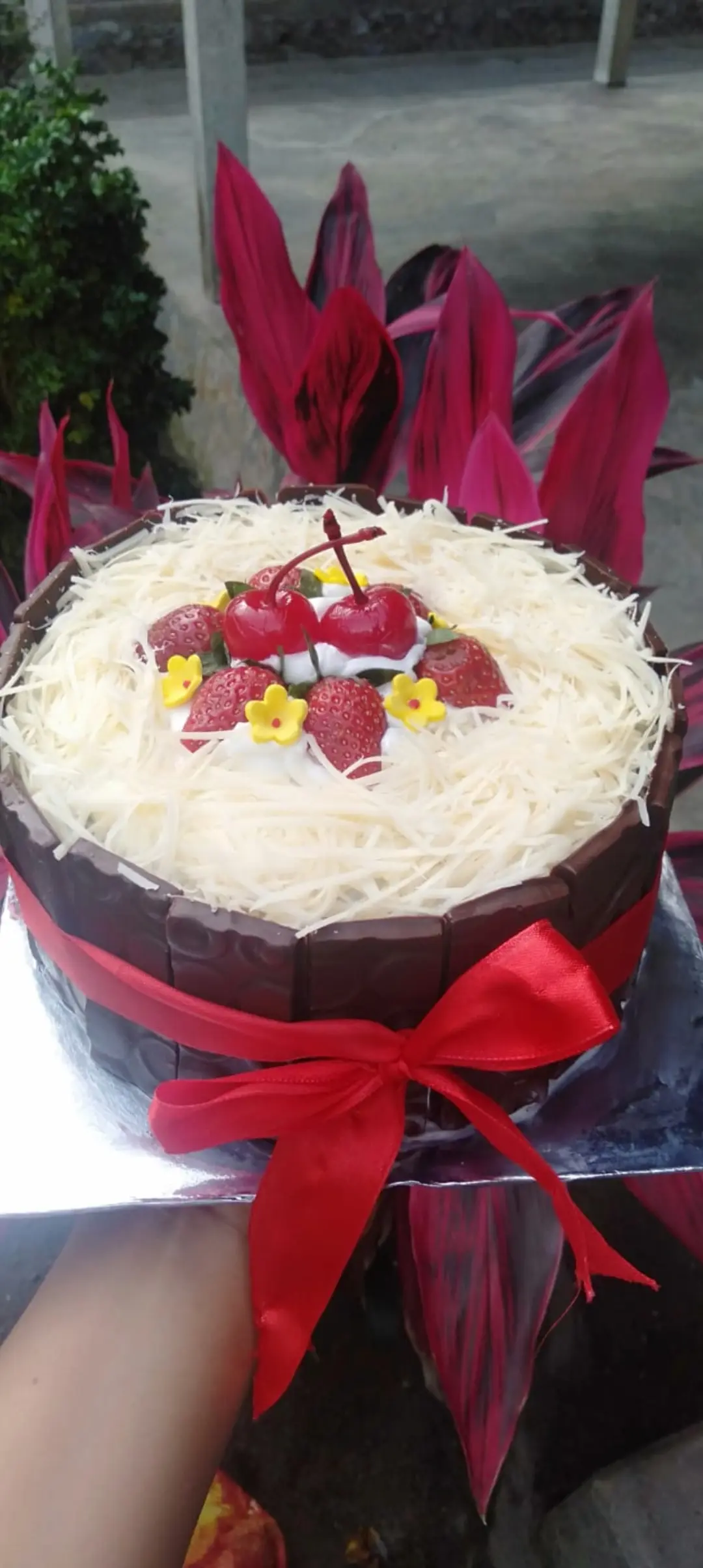 Kue Tart Brownis